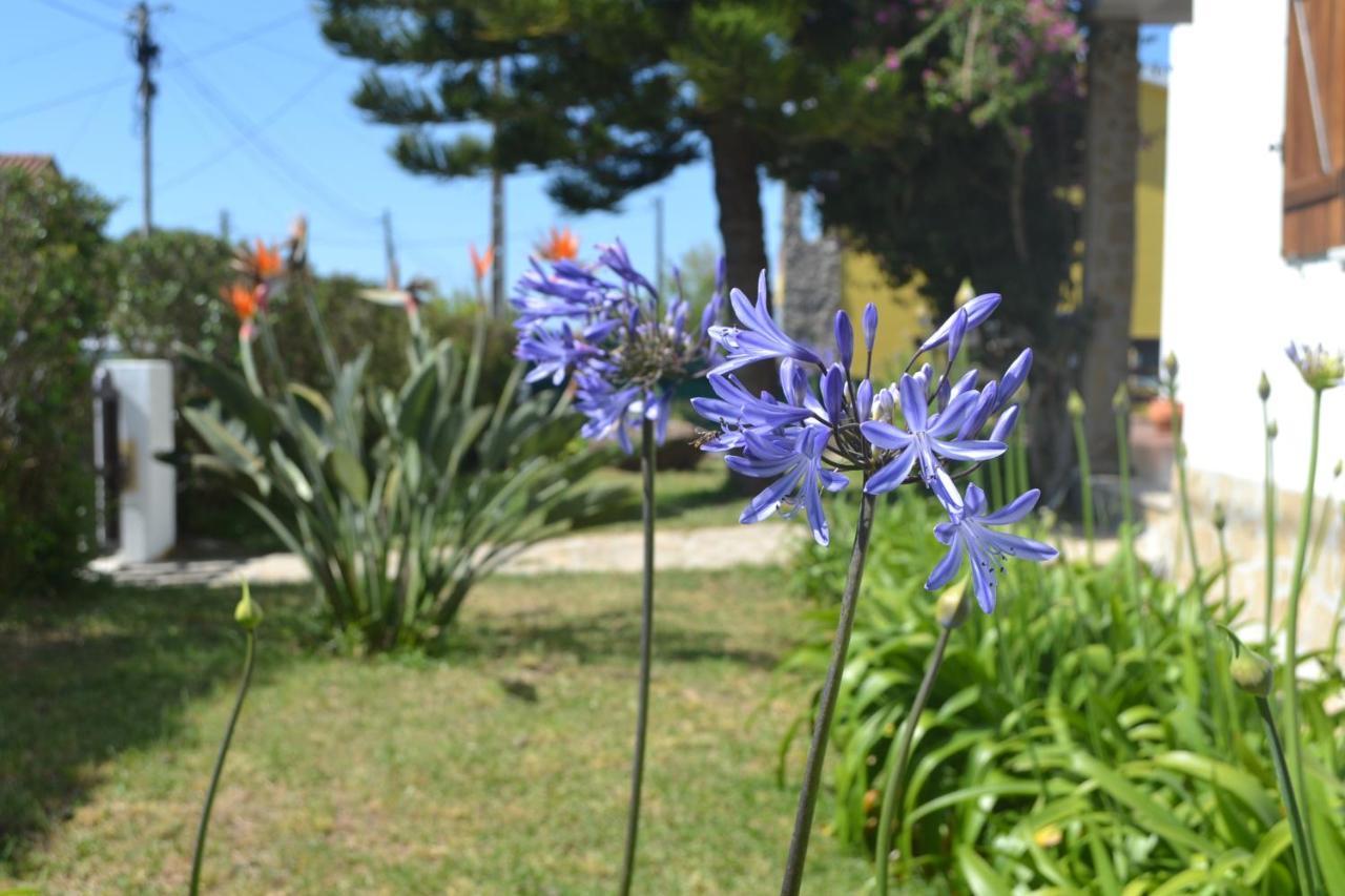 Meraki Guesthouse Ericeira Bagian luar foto